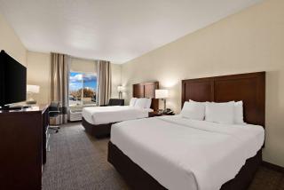 Comfort Inn & Suites Airport Convention Center - Reno - 4