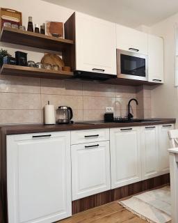Apartman Pino Divčibare - Divčibare - 4