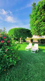Spanish Apartment With pool - La Mata - 8