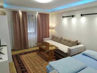 Villa Amer Lux Apartments - Sarajevo - 4
