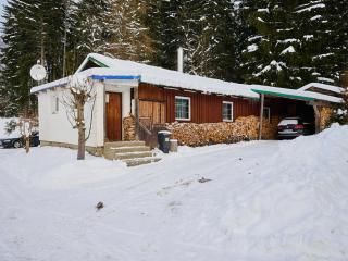 Holiday Home Chaloupka U lesa by Interhome - 0