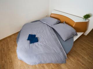 Apartment U Dzina-1 by Interhome - 1