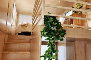 Tiny home near Grand Canyon sleeps 5, epic views! - Flagstaff - 4