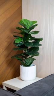 13km from CBD & Airport Comfortable house - Brisbane - 7