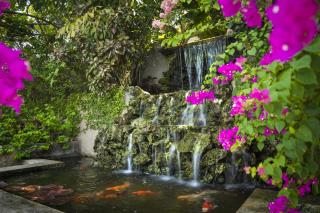 Polkerris Bed & Breakfast - Montego Bay - 2