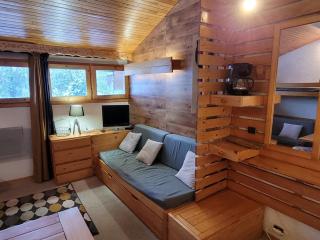 Studio fonctionnel Proche des pistes Vue pistes - FR-1-181-2702 - 0