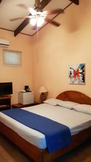 Samara Beach Hotel - Sámara - 9