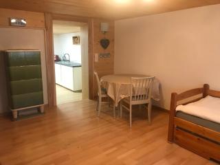 Bijou 2 hübsche 1 Zimmer Wohnung - Herisau - 7