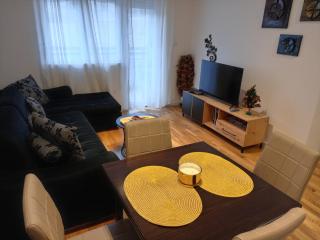Apartman Pan - Soko Banja - 8