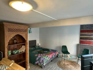Studio indépendant avec jardin - Tours - 6