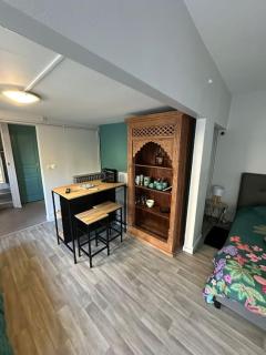 Studio indépendant avec jardin - Tours - 2