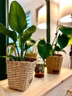 Apartament Universitate UMFST - 5