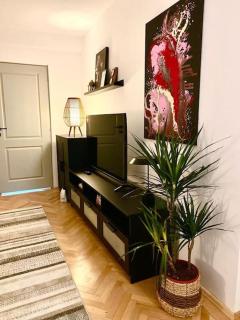 Apartament Universitate UMFST - Târgu Mureș - 4