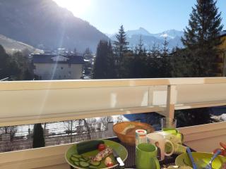 Apartment Mountain View - Bad Hofgastein - 2