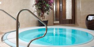 Mount Wolseley Hotel Spa & Golf Resort - Tullow - 8