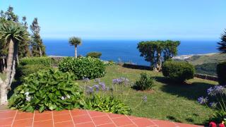 Villa Cedros - Santa Cruz das Flores - 9