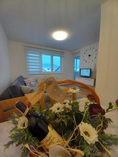 Apartman Jovana Pale - Pale - 9