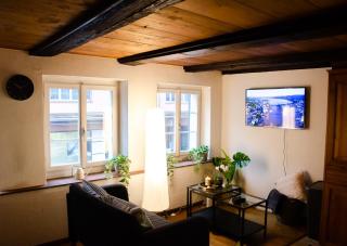 MANY'S historical city central APARTMENTS - Zurigo - 8