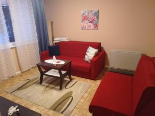 Apartman Vila home - Sarajevo - 3