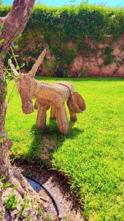 Amelkis logement - Marrakesh - 4