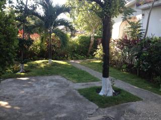 Kingston Airport bed and breakfast - Kingston - 2