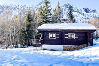 Snowflake cottage with garden - Chamonix - 0