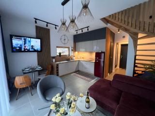 Villa Monte Apartament z ogrodem - Kudowa-Zdrój - 9