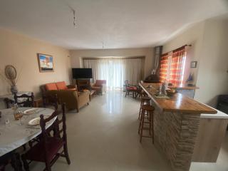 Rodopi Apartment - Skala di Cefalonia - 1