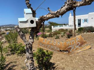 New Cycladic house ¨Agroktima Katerina¨ - Aliki - 4