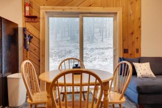 Iron River Condo with Gas Grill Near Skiing and Hiking - 5