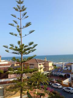 Beachfront 3 Bedroom Family Apartment - Matalascañas - 9