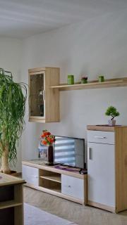 Apartments Pravica Trebinje - Trebinje - 9