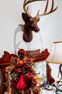 Antlers - A Birdy Vacation Rental - San Antonio - 1