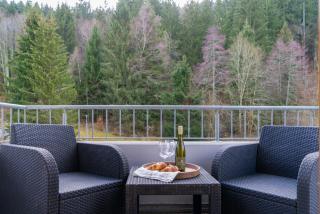Rita - atemberaubenden Wasserfälle - Triberg im Schwarzwald - 4