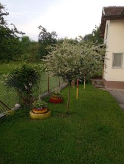 Kuca za odmor Zicanka - Kraljevo - 3