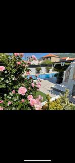 Villa Nana with pool - Kaštela (Castelli) - 4