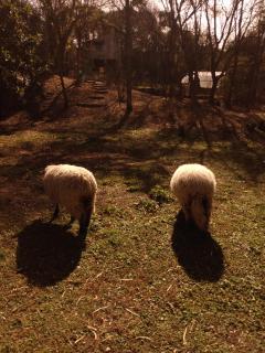 Prana Eco hospedaje - 4