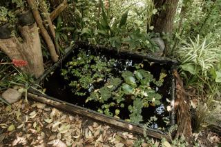 Prana Eco hospedaje - 3