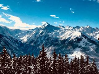 Bewegt Appartements - Kaprun - 6