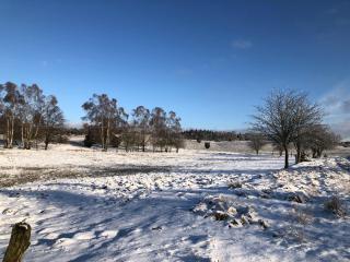 Haus Sonnenschein - 1