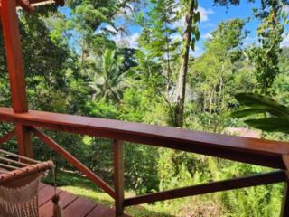 Boca Tapada Lodge - Boca Tapada - 3