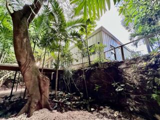 Coconut Grove Mid-Century Jungle Oasis - Miami - 3