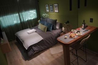 Studio San Martin - Mendoza - 9