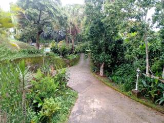 Rancho do Edy Pousada - São Roque - 4