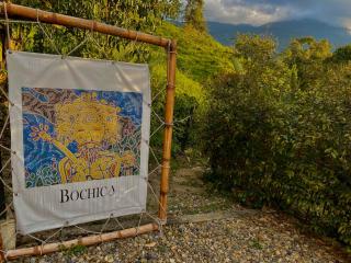 NaturalMente Glamping - San Antonio del Tequendama - 8