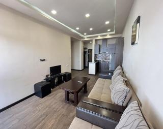 Avchieva's apartment 2 on Tsitsernakaberd1/2 - 5