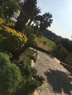 كمباوند الخليج - Il Cairo - 8