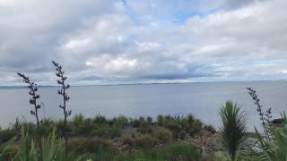 Clarks Beach Getaway - Clarks Beach - 2