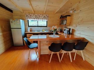 cabaña laurel - Ranco - 1