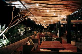 Top of the Loop Hostel Ha Giang - 1